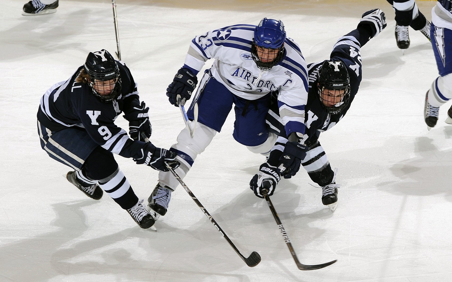 中国象形拳大赛 视频网络赛引发关注 民间高手纷纷上传演练作品